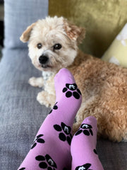 ASL Socks, ASL gift, Dog socks, ASL Dog socks, I love dogs socks
