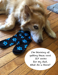 ASL Socks, ASL gift, Dog socks, ASL Dog socks, I love dogs socks