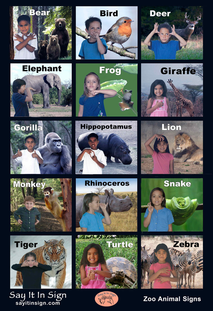 ASL Zoo Animal Signs Poster - ASL Lenticular Poster
